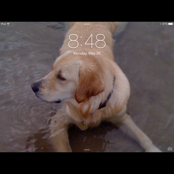 Hi, I’m piculady aka lukesmom aka Laura. Enjoy! - Picture 1 of 1